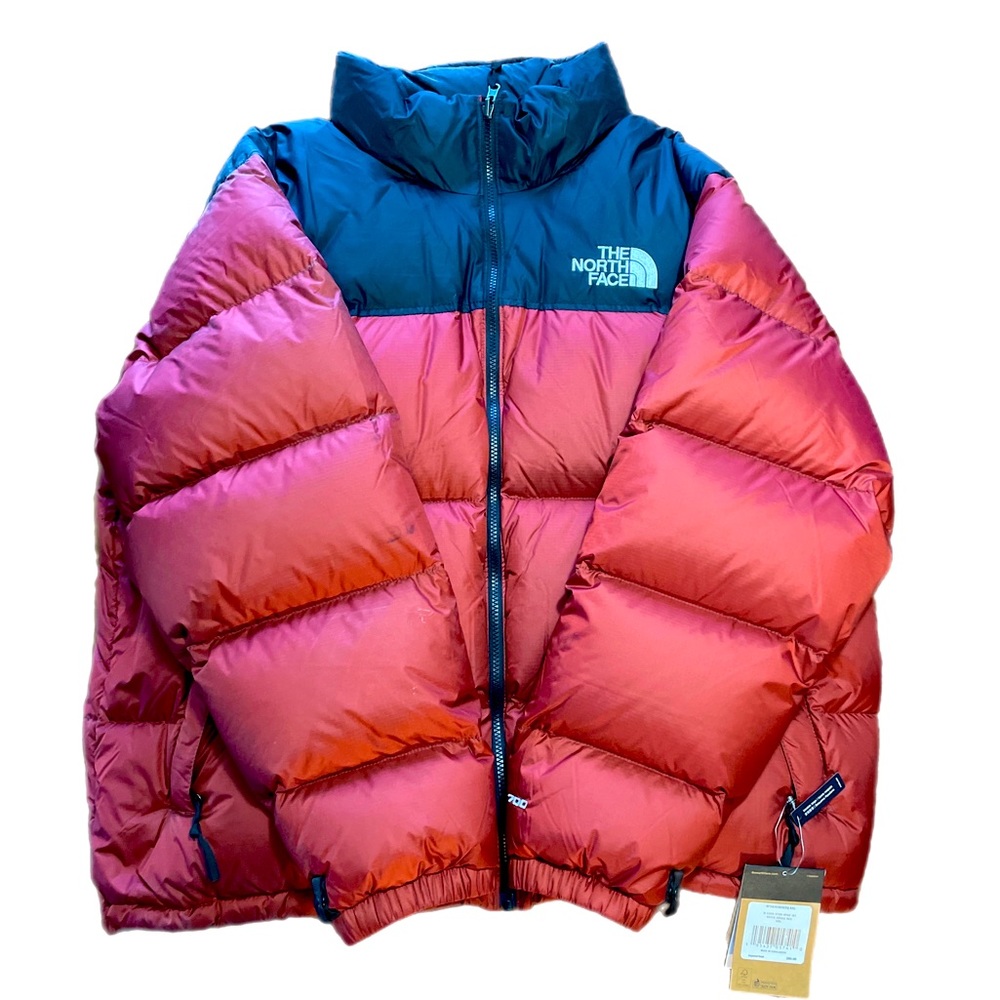 The North Face Hooded Puffer Jacket 1996 RTRO NPSE JKT